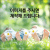 실사(단면실사)- 암막 롤스크린